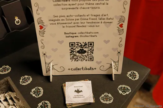 Copyright : Vincent Folliard